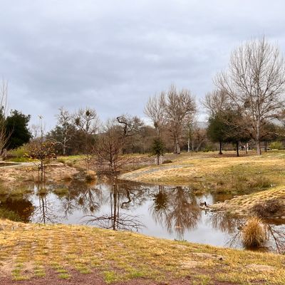 Hole 6 with actual water hazard