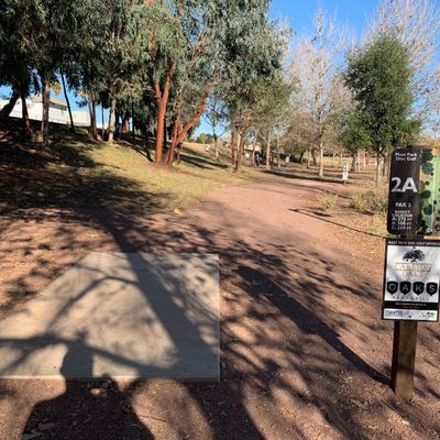 Alley shot through the trees with the basket up the hill.